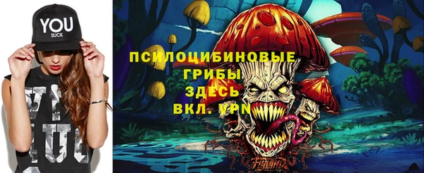 соль курить ск Дмитриев