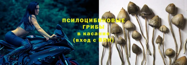 соль курить ск Дмитриев