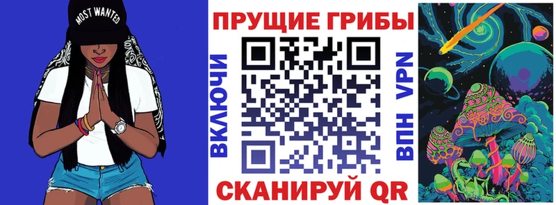 Купить  Омутнинск  Псилоцибиновые грибы GOLDEN TEACHER 